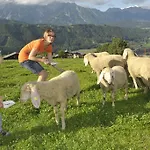 Abelhof * Schladming