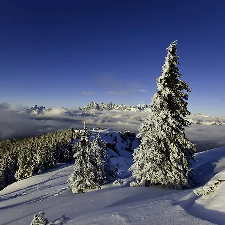 Alojamento de Turismo Rural Abelhof Schladming