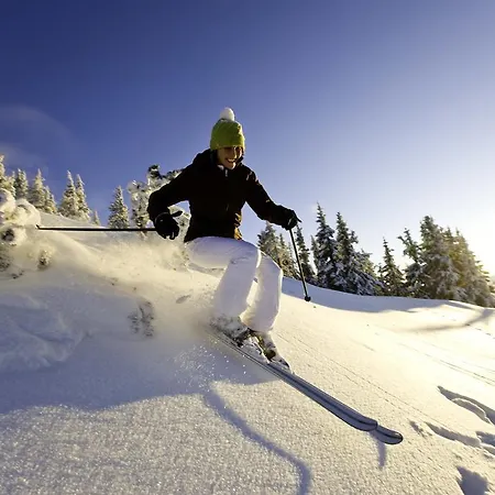 Abelhof Çiftlik konaklama