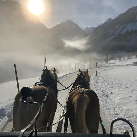 Çiftlik konaklama Abelhof Schladming