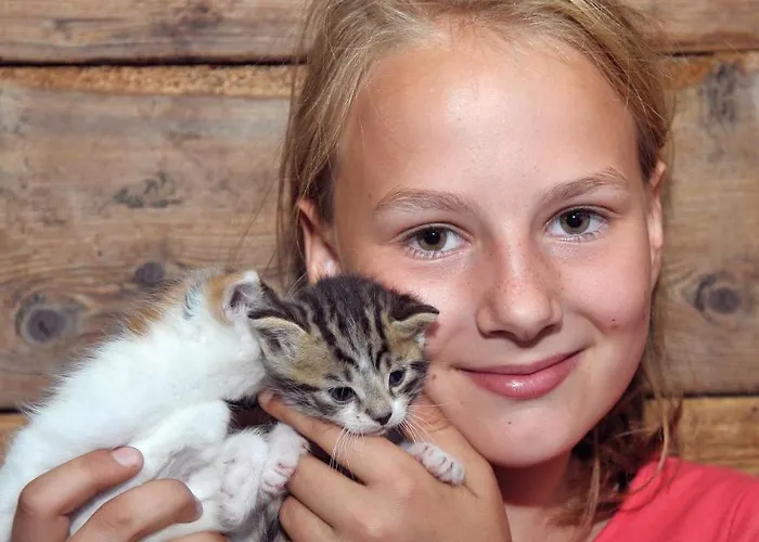 阿贝尔霍夫酒店 斯拉德明