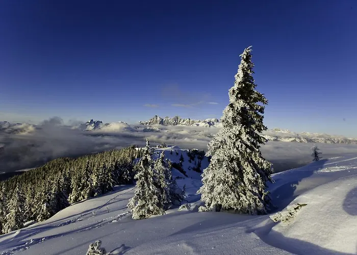 农家乐 阿贝尔霍夫酒店 斯拉德明