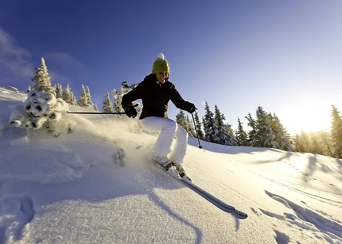 阿贝尔霍夫酒店 农家乐