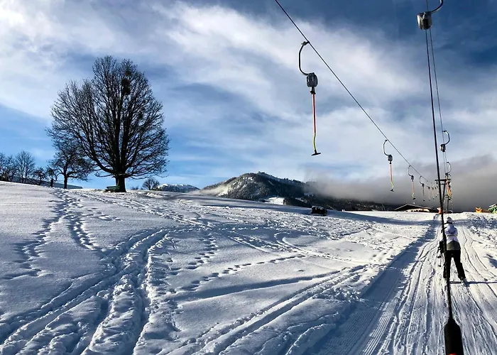 阿贝尔霍夫酒店 *