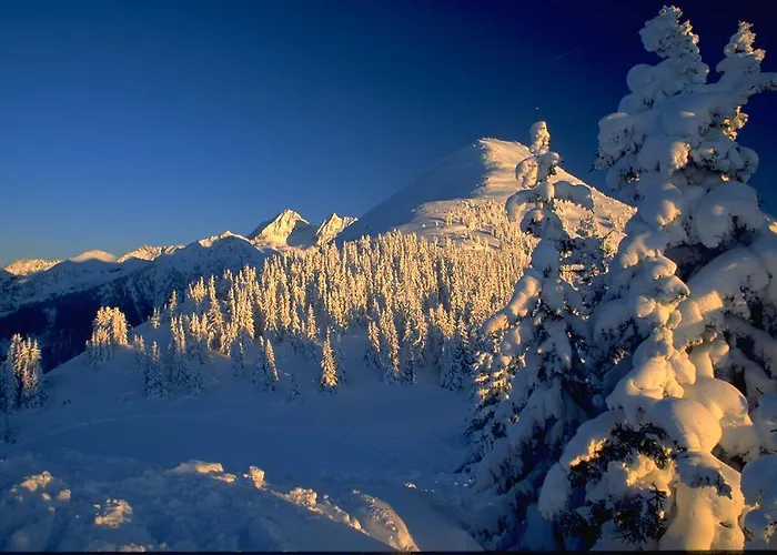 农家乐 阿贝尔霍夫酒店 *