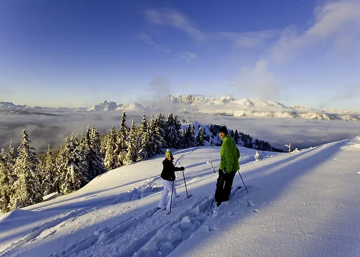 阿贝尔霍夫酒店 农家乐