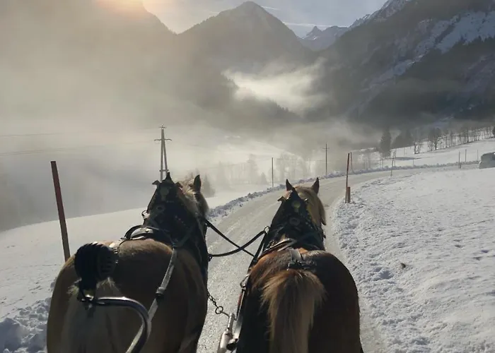 Farm stay Abelhof Schladming